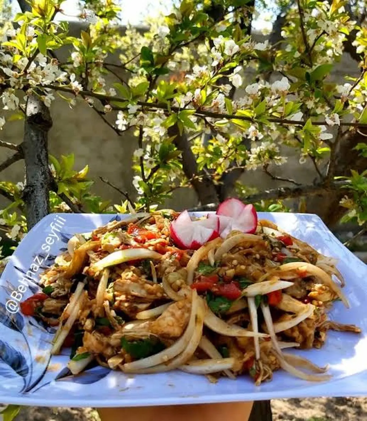 سالاد مرغ و بادمجان؛ خوشمزه، سیرکننده و رژیمی!