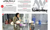 خَرج‌وبَرج عجیب حیوان خانگی؛ توپ گربه 5میلیون!