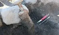 کشف شمشیر «وایکینگ‌ها» در سوئد