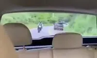 تصادف وحشتناک یک موتور پس از تک چرخ زدن در جاده