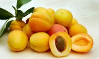 خوردن هسته‌ زردآلو بی‌خطر است؟