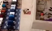 بازی کردن یک گربه بازیگوش با پیش نماز