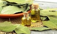 خواص درمانی و شگفت‌انگیز برگ یک گیاه
