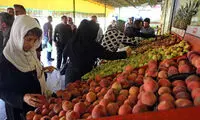 ارزانی میوه در راه است؟