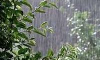 رگبار شدید باران و آبگرفتگی معابر در گرگان