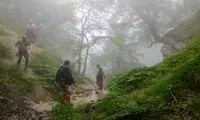 چهره دختری که میمون‌های جنگل بزرگش کردند