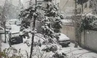 تصاویری ناب از اولین برف زمستانی تهران