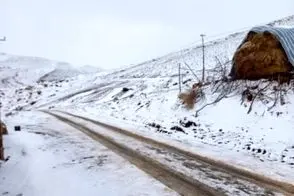 تصاویر تازه بارش برف در شهرستان خلخال