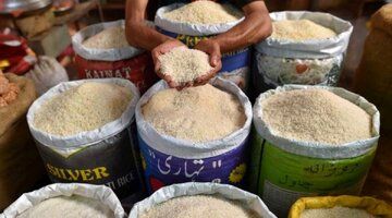 جدیدترین قیمت انواع برنج ایرانی در بازار