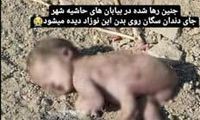 ماجرای نوزاد رهاشده در حاشیه شهر اصفهان