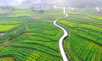 تصاویری شگفت انگیز از دنیای زیبا (128)