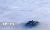 تصویری زیبا و دیدنی از قله الوند