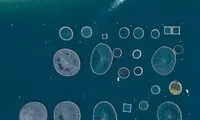 تصاویر هوایی سورئال از مزارع پرورش ماهی