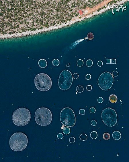 تصاویر هوایی سورئال از مزارع پرورش ماهی