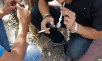 دخترانی که سراسیمه از ترس معتادان می‌دوند