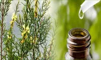 فواید شگفت‌انگیز روغن درخت چای برای سلامتی