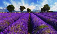پر نقش و نگارترین مکان‌های جهان اینجاست (۱)