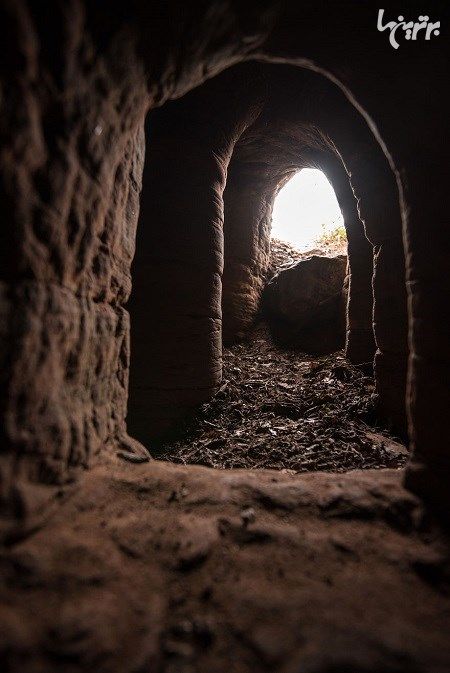 سوراخ خرگوش که به یک غار 700 ساله رسید!