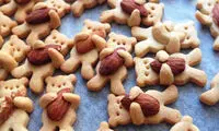خرس‌های آجیل به دستِ خوشمزه! +عکس