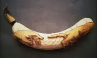 هنر موزی +عکس