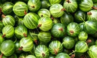 ماسک هایی برای سیاه کردن مو