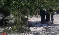 اولین تصویر از جسد یکی از عاملان تیراندازی در حرم امام