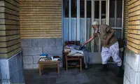 عکس: گشت و گذار در منطقه یک تهران