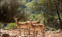 در ماه اسفند به کجا سفر کنیم؟