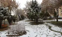 بارش برف زنجان را سپید پوش کرد