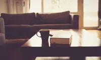 فصل داغ مطالعه