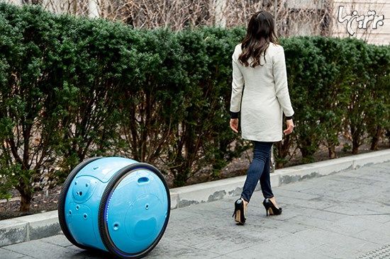 این ربات خریدهایتان را حمل می کند