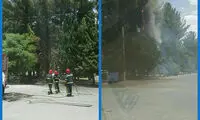 گرمای هوا، در بیرجند درختان را به آتش کشید!