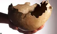 اجداد ما آدم‌خوار بودند؟ +عکس