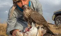 عکس: زندگی یک شاهزاده اماراتی در دبی