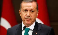 اردوغان، سلطان پوپولیست ها