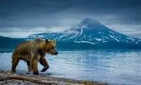 مستند‌های نوروزی تلویزیون را بشناسید