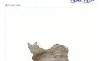 کاوه مدنی: سیل ربطی به بارورسازی ابرها ندارد