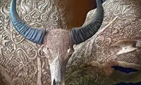 منبت کاری روی جمجمه +عکس