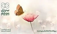 شهر همچنان در تسخیر پروانه‌هاست
