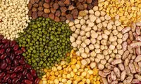 شکم تخت با مصرف این 10 ماده غذایی