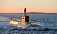 موجودات دریایی برای پنتاگون جاسوسی می‌کنند