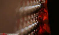 بازدید مردم از ضریح امامین عسکریین(ع)