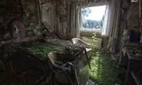 عکس: چند سال پس از انسان ...