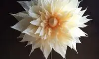 واقعی ترین گل های کاغذی که تابه حال دیده اید!