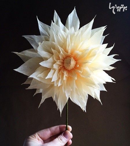 واقعی ترین گل های کاغذی که تابه حال دیده اید!
