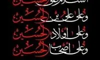 عرض ارادت علیرضا جهانبخش به اباعبدالله(ع)