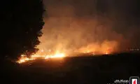 آتش‌سوزی یک گندم‌زار بزرگ در حاشیه تهران