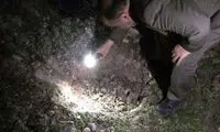 برخورد شهاب سنگ، عامل انفجار در قائمشهر بود؟