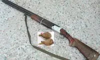 دستگیری ۲ شکارچی متخلف در دامغان