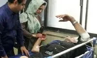 خرس، چوپانِ بابلی را زخمی کرد